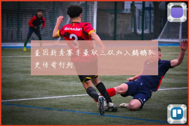 奎因新秀赛季豪取三双加入鹈鹕队史传奇行列