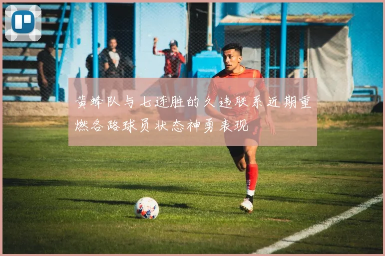 黄蜂队与七连胜的久违联系近期重燃各路球员状态神勇表现